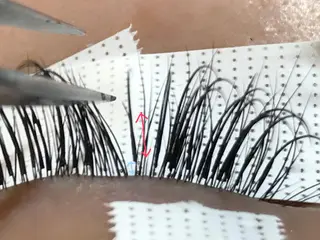 マツエク・マツパ eyelash sa lon Natureのマツエク・マツパデザイン