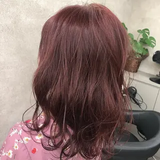 ミディアム カラー ヘアアレンジ 美髪矯正/透明感カラ ー🫧YUUKI🫧のヘアスタイル