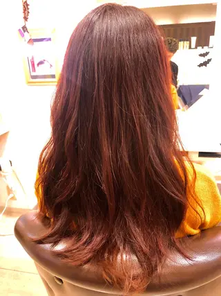 カラー 森澤 一也のヘアスタイル