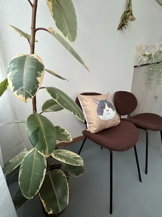 マツエク・マツパ et atre所属・佐伯 愛のマツエク・マツパデザイン