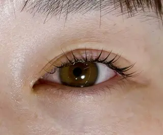 マツエク・マツパ あべ⠀しほ * 無料モデル募集中の眉毛・アイブロウイメージ