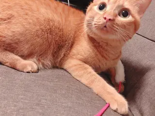 kiki nail &brow二子玉川の眉毛・アイブロウイメージ