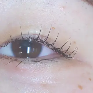 マツエク・マツパ 藤中 満里奈の眉毛・アイブロウイメージ