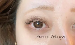 マツエク・マツパ 無料モデル募集中 Ann Mossのマツエク・マツパデザイン