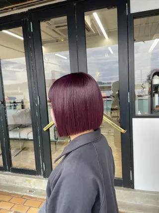 ショート 菅原 彩加のヘアスタイル