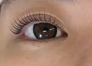 マツエク・マツパ マリーテレジア 🌻RUKAのマツエク・マツパデザイン