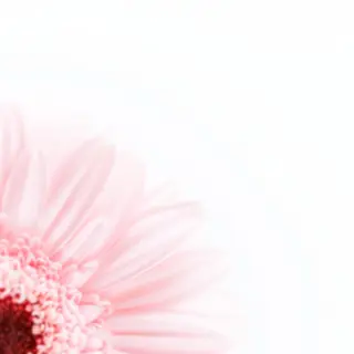 TIÁM eyelashのマツエク・マツパデザイン