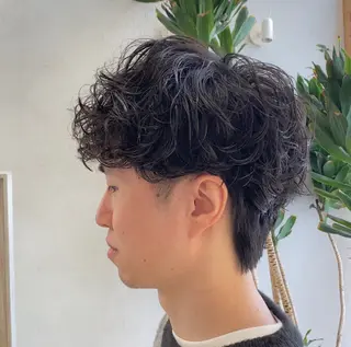 ショート パーマ メンズ ナツハラ サトシのヘアスタイル