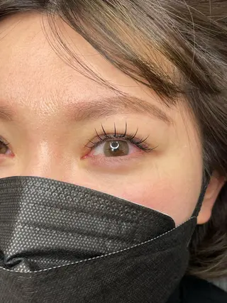 マツエク・マツパ 無料モデル募集中 Ann Mossのマツエク・マツパデザイン