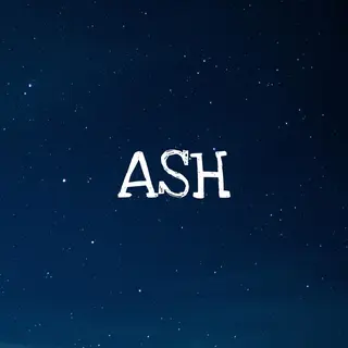 ショート 鈴木遥幾 艶髪特化美容師のヘアスタイル