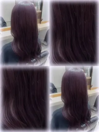 ロング 🪽ラベンダーカラー 暗髪透明感🪽レイナのヘアスタイル