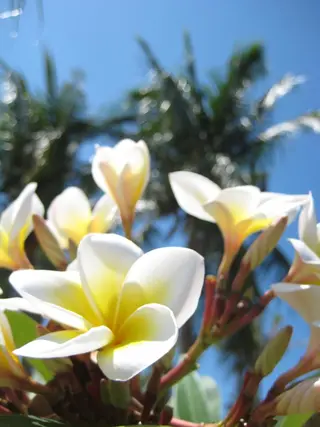 松本 明日香のエステ・リラクイメージ