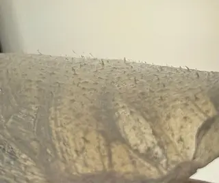 Lala Beautyのエステ・リラクイメージ