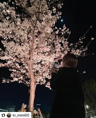 ミディアム カラー メンズ 🩷Eny terrace🩷のヘアスタイル