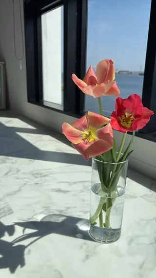 Private Salon S.Nail所属・S.Nail 𓏲⋆🪸.⋆⸜🫧のネイルデザイン