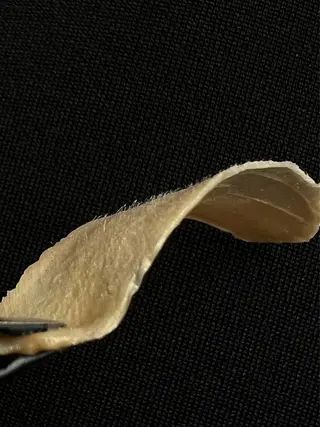 RINA studio-385の眉毛・アイブロウイメージ