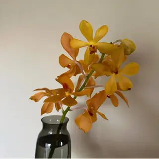 ネイル foret⭐︎ shizukaのネイルデザイン