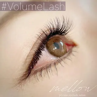 マツエク・マツパ mellow eyelashのマツエク・マツパデザイン