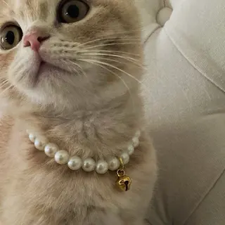 《BON BON》 miu.のマツエク・マツパデザイン