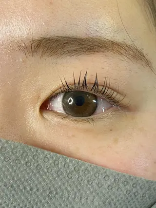 マツエク・マツパ y"salon Lilyのマツエク・マツパデザイン