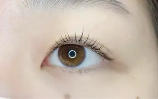 マツエク・マツパ eyelash "Koa"🕊🤎のマツエク・マツパデザイン
