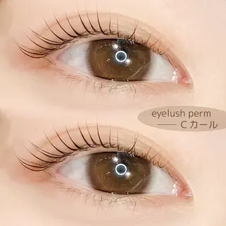 マツエク・マツパ 【ツヤ髪特化】 スズキアキエのヘアスタイル