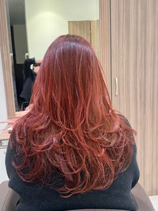 セミロング カラー 菊池 遼/透明感 /韓国レイヤー/艶感のヘアスタイル