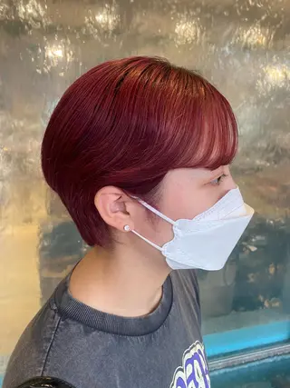 ショート 辻 友里香のヘアスタイル