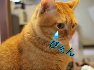 ネイル kiki nail &brow二子玉川の眉毛・アイブロウイメージ