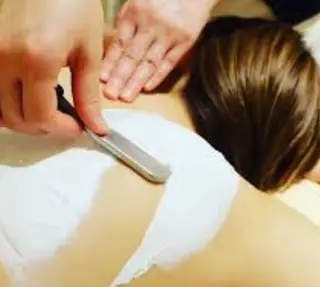 志賀 千鶴のヘアスタイル
