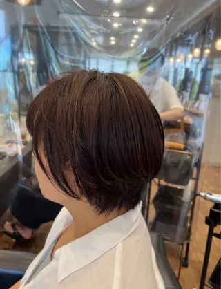 ショート カラー 高橋 春菜のヘアスタイル