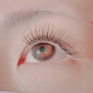 マツエク・マツパ 🍀fleur🍀 束感/ワンホン/杉浦のマツエク・マツパデザイン