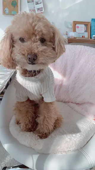 pipi ..のネイルデザイン