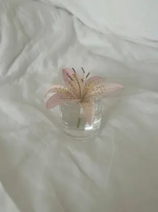 ネイル SALON VILLAGE Kinshicho所属・Leflou錦糸町 Akoのネイルデザイン