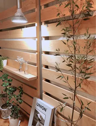 マツエク・マツパ なかむら 🪡のマツエク・マツパデザイン