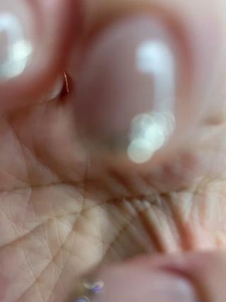 ラメフレンチ×リングネイル⸜︎⸝‍ 