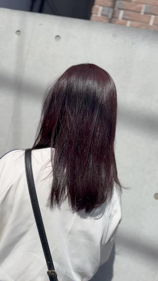 ちらっと赤感じるブラウン 