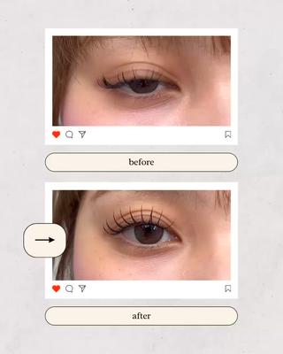 フラットラッシュ120本 