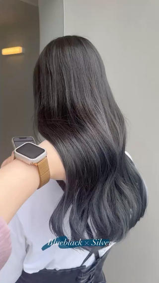 インナーカラー
ブルーブラック×シルバー
韓国系カラー 