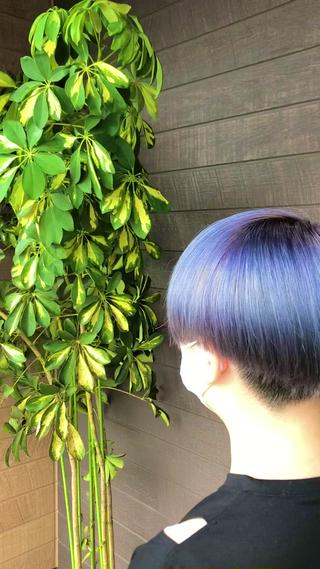 ショート 太白区白髪ぼかし/ ボブカット/千葉達人のヘアスタイル