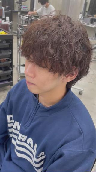 ツイスパウルフ 