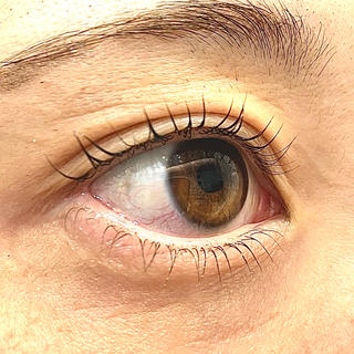 上下まつパでまつげの存在感をより引き出せます‪️ 