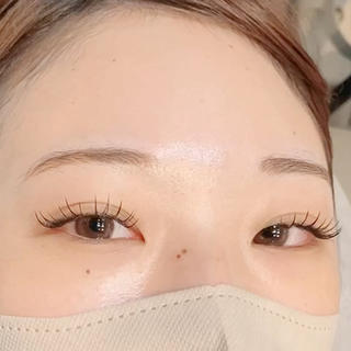 プレミアムセーブル110本
0.15SC10/11/12/11
コーティング仕上げ 