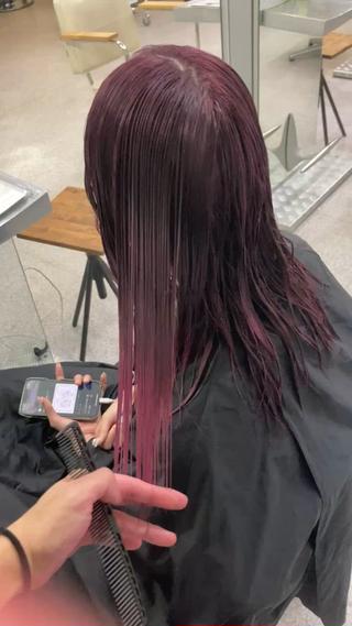 ミディアム カラー ウルフレイヤー エクステ/kokiのヘアスタイル