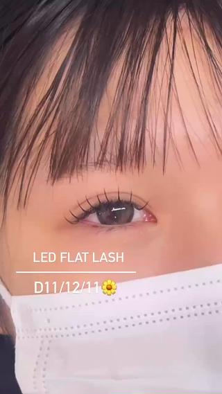 ぱっちり目元を作るためのpoint

 CCカールやDカールなど、カールが強いものを選ぶと、よりパッチリとした印象になる

 目頭から目尻にかけて長さを変えることで、立体感と奥行きを出すことができる

 本数を多くすることで、より華やかで印象的な目元になる

ぱっちりお目目にしたい方はカール強めの方がオススメです 