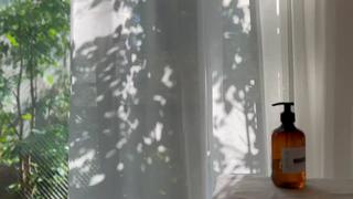 仰向けに寝て見える光景は
森のように育つ緑達の木漏れ日

 