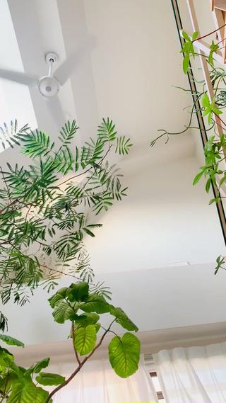 緑たちが風に揺られている光景を見るだけでも
心と体が癒されます。 