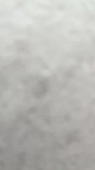 秋冬定額デザイン 