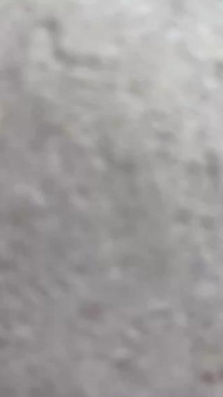 7月8月　定額デザイン 