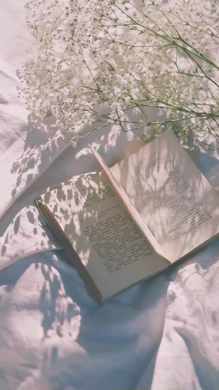 マツエク、まつパ、アイブロウモデル様募集中♡ 